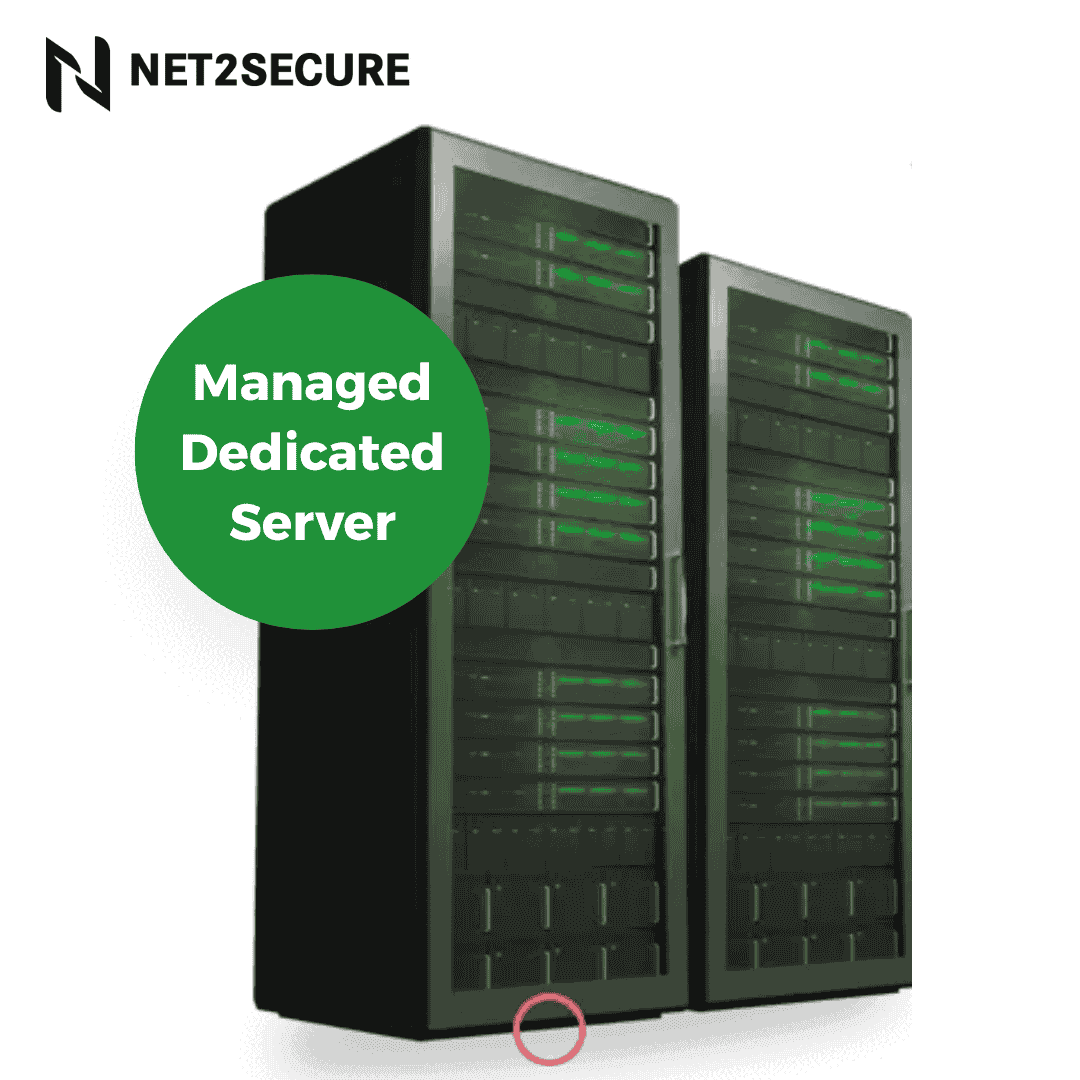 How Managed Dedicated Servers Empower Enterprise And SaaS Growth?